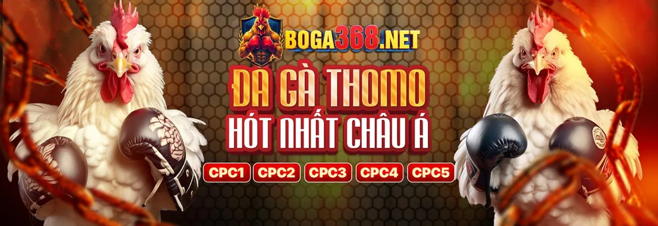 Hình ảnh đá gà trực tuyến đỉnh cao tại Bet365 Link Mới 2026
